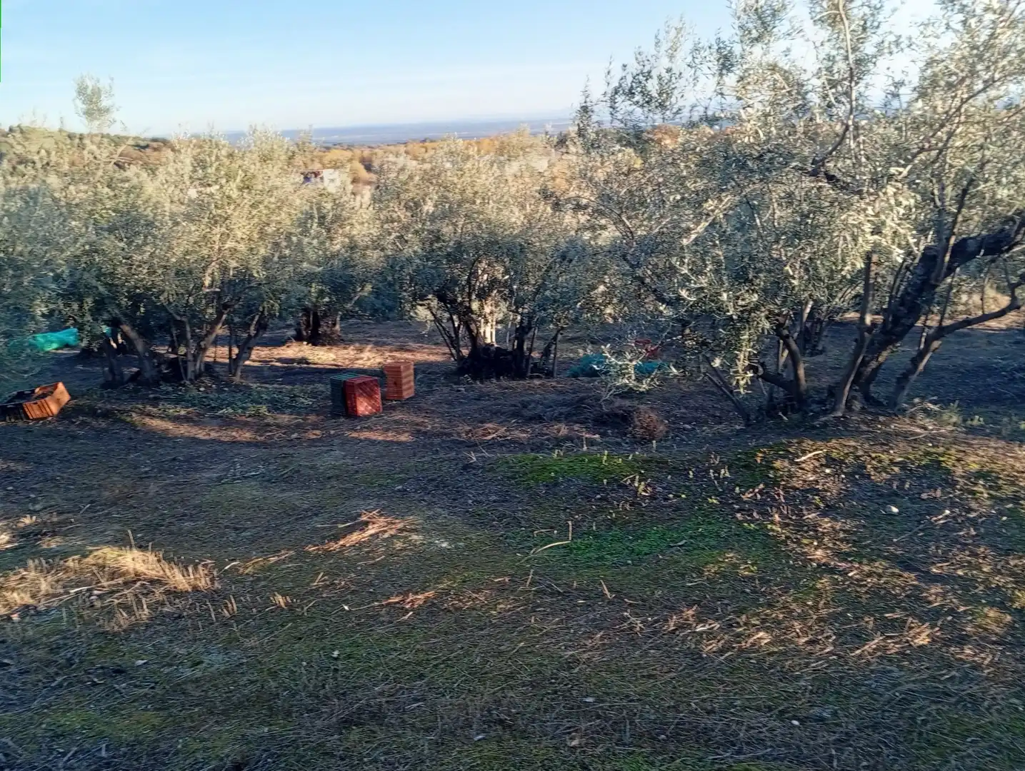 Terreni e lotti in vendita a Villanueva de la Vera, imagen 72