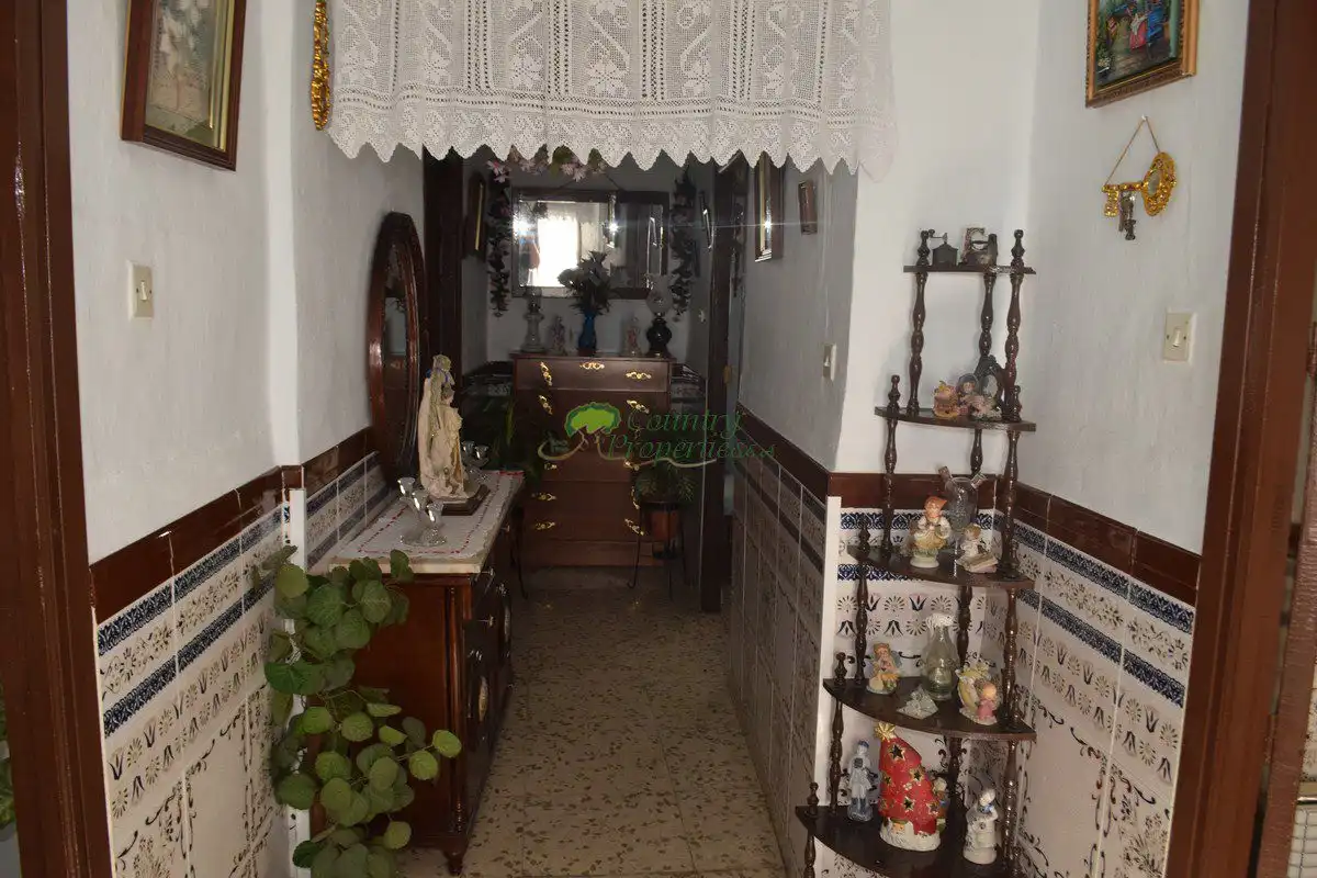 Casa o xalet en venda en Cómpeta amb Terrassa i Traster
