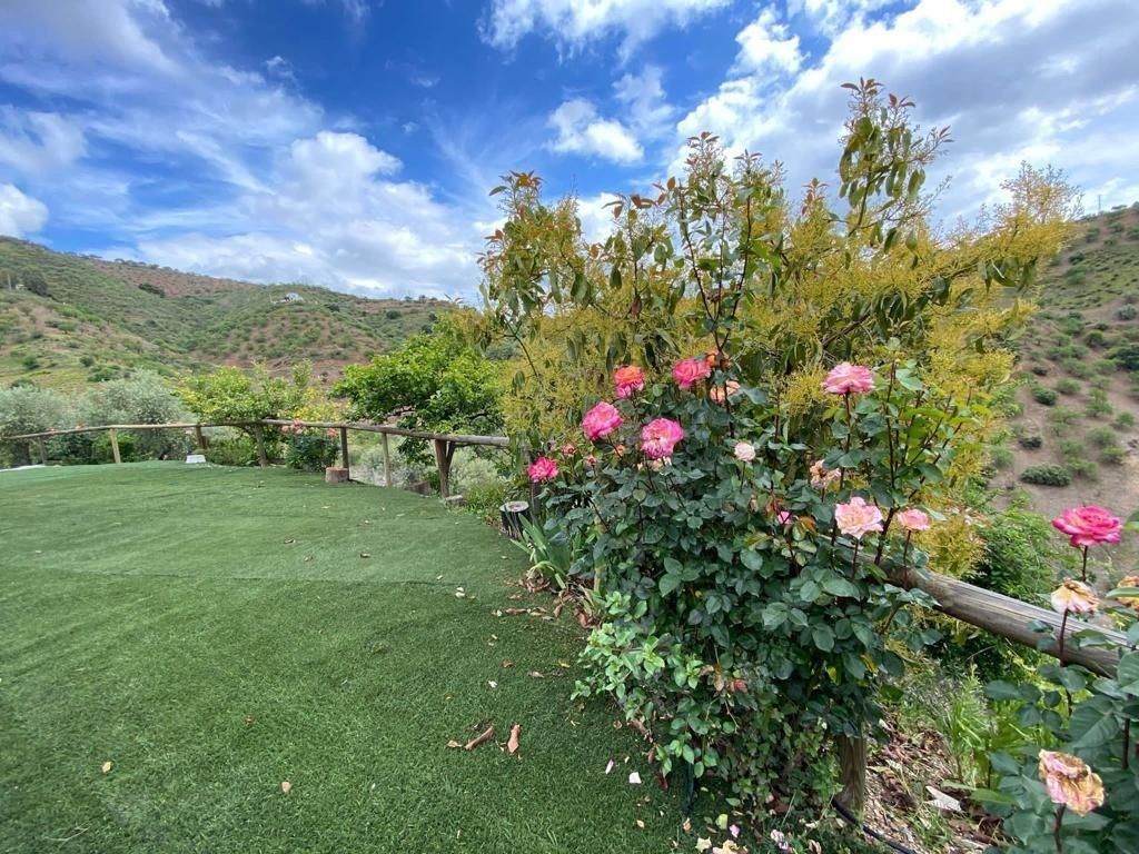 Jardí de Casa o xalet en venda en Colmenar amb Jardí privat, Terrassa i Traster