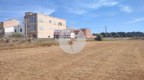 Photo 3 of Residential for sale in Es Pil·larí, Palma de Mallorca