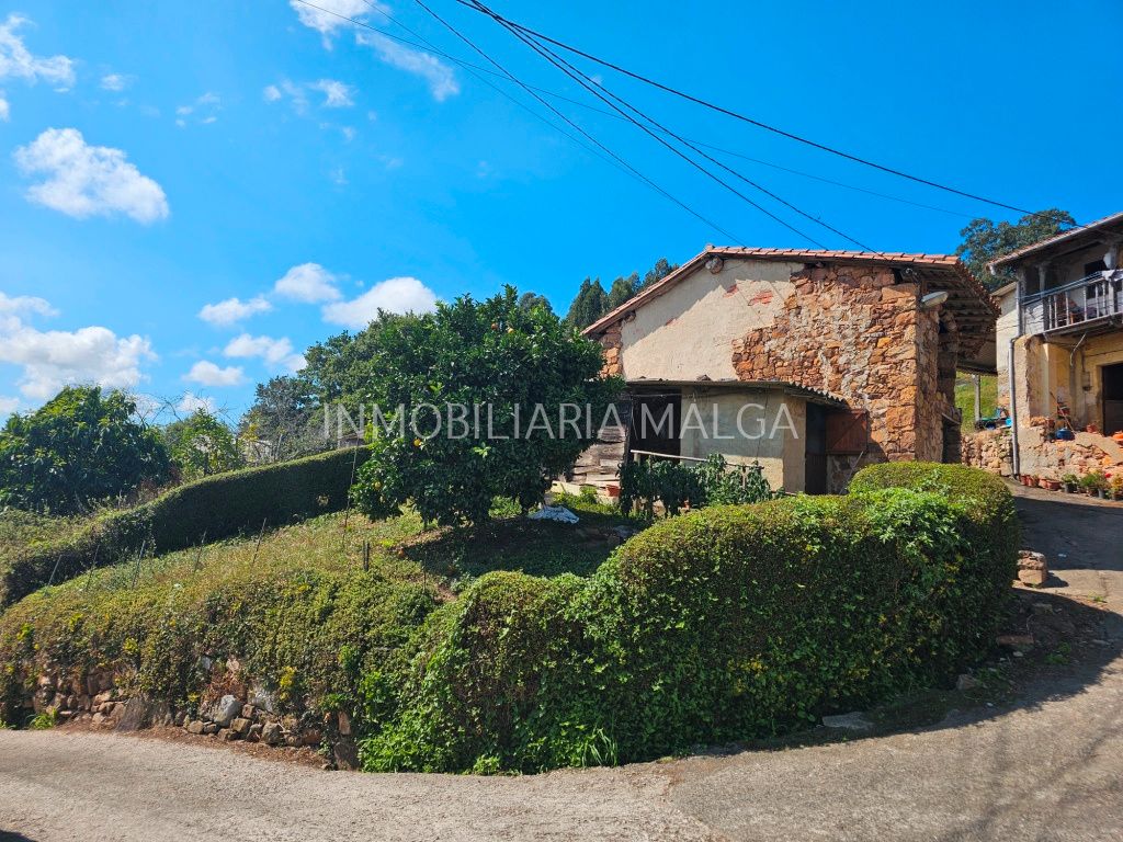 Vista exterior de Casa o xalet en venda en Colunga amb Jardí privat