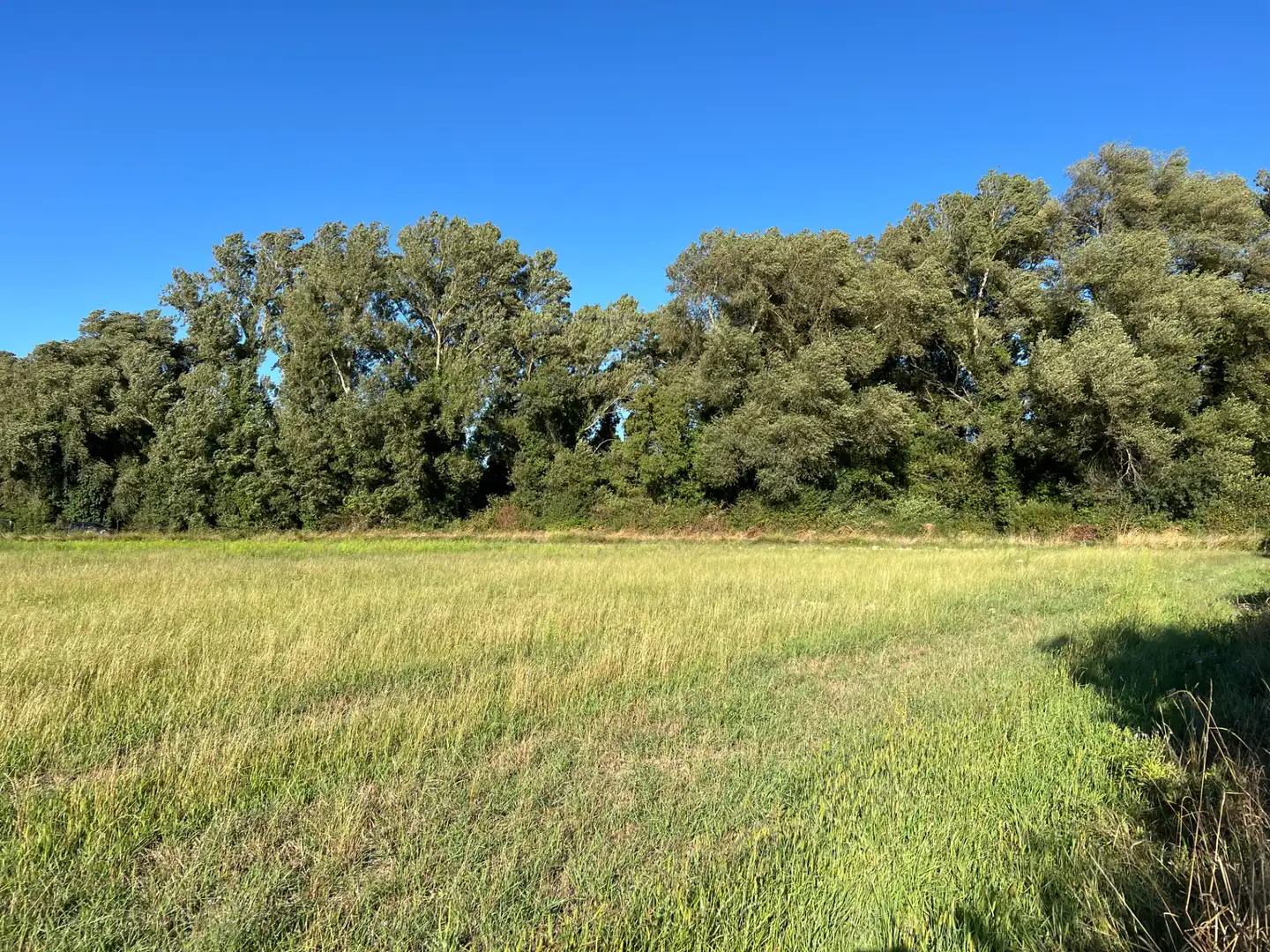 Terreno en venta en Santa Cilia