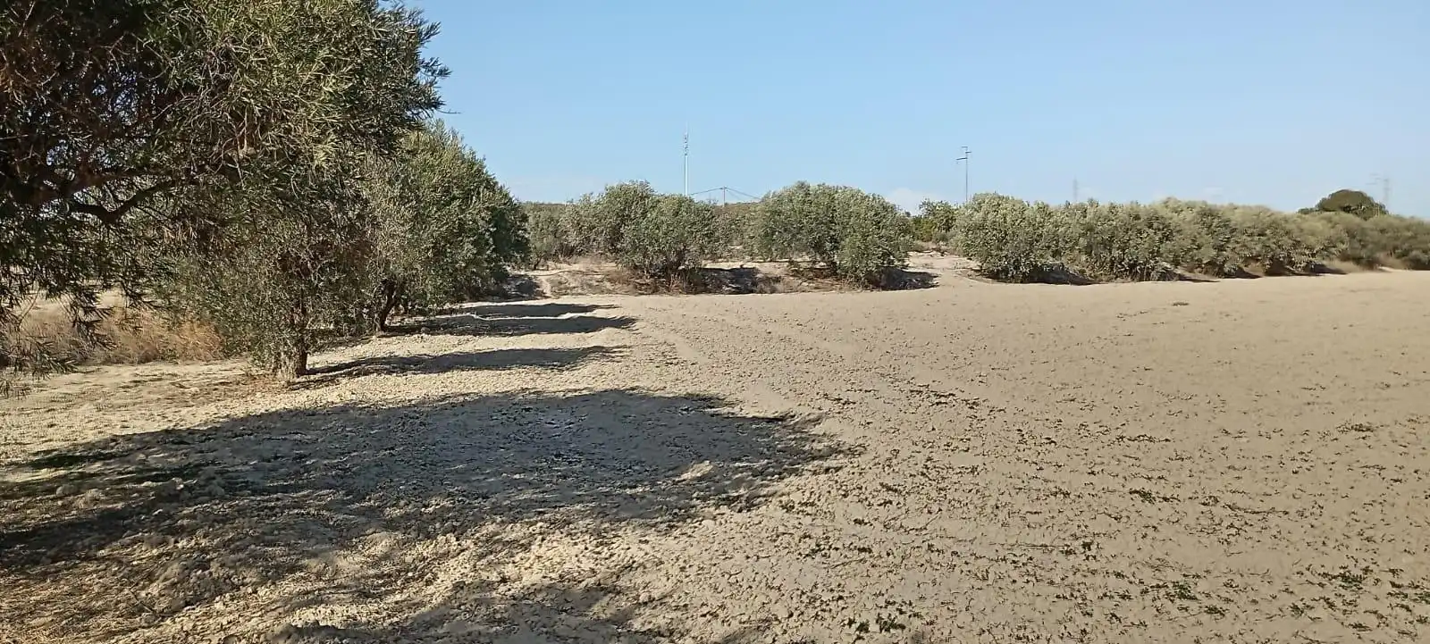 Maison avec jardin à vendre à Mojácar Pueblo, imagen 34