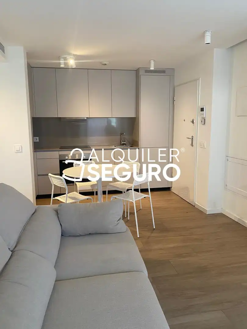 Flat for rent in Juan de Borbón, Juan Carlos I