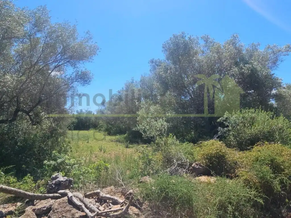 Terreny residencial en venda a Càlig, imagen 3