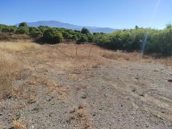 Finca rústica en venda en Benamocarra amb Jardí privat