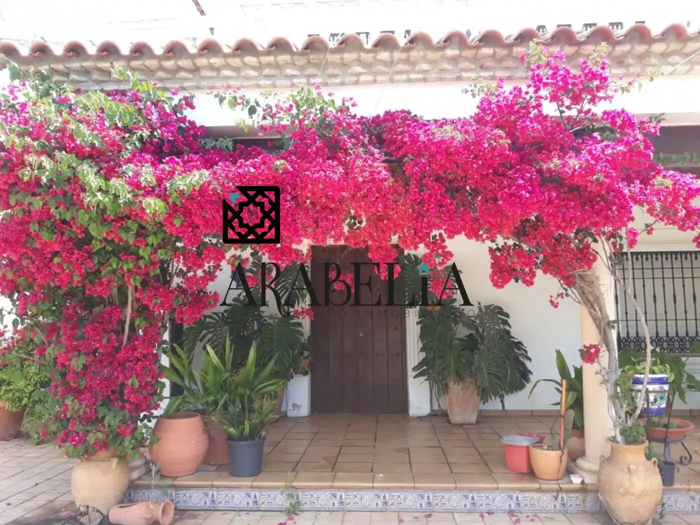 Maison à vendre à Levante