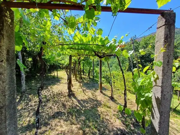 Haus mit Garten zum Verkauf in Rua Vilanova, imagen 15