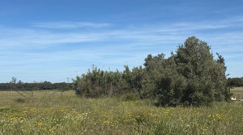 Foto 2 de Terreno en venta en El Almedral, Puerto Real