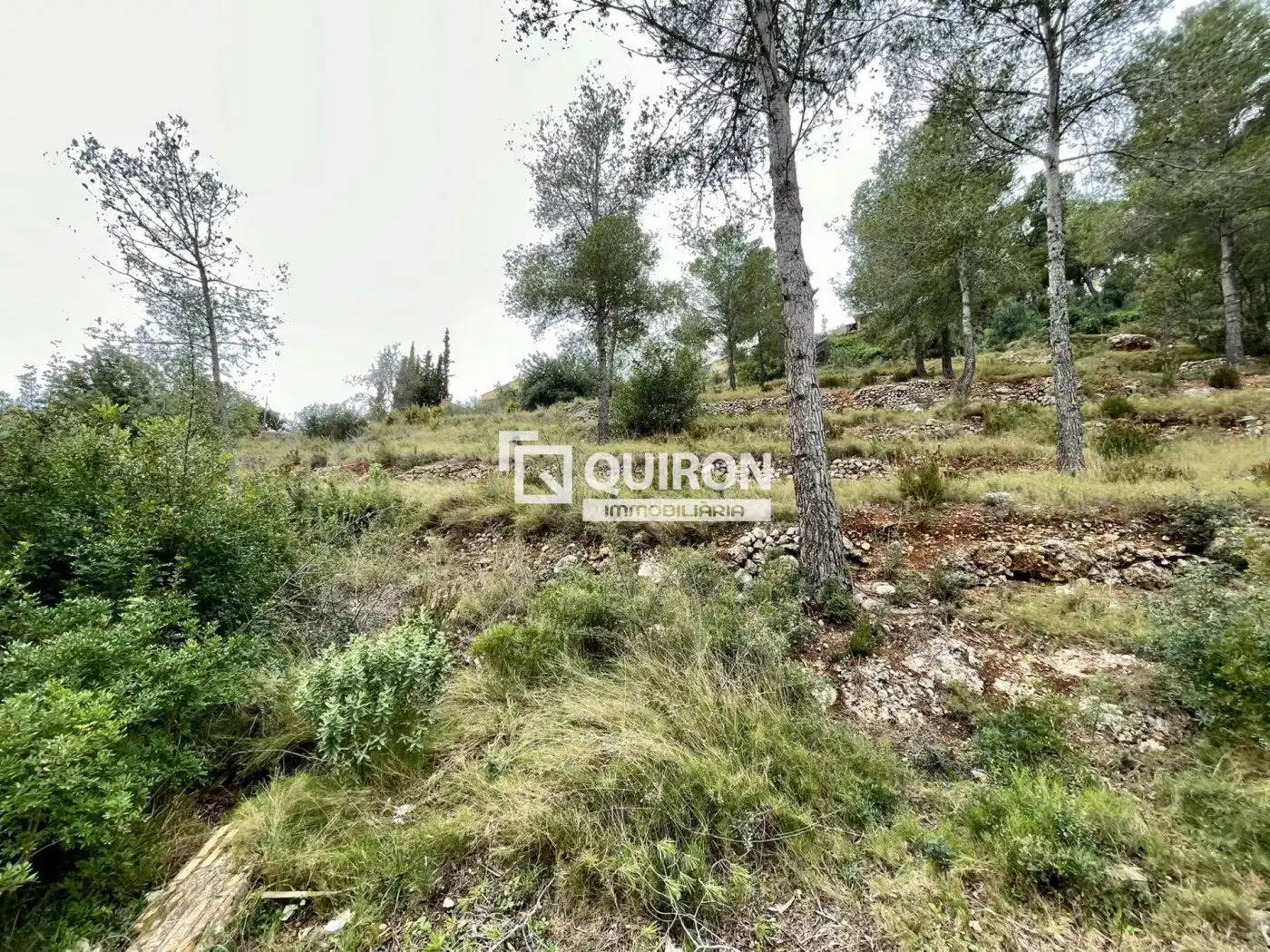 Rural land for sale in La Bisbal del Penedès