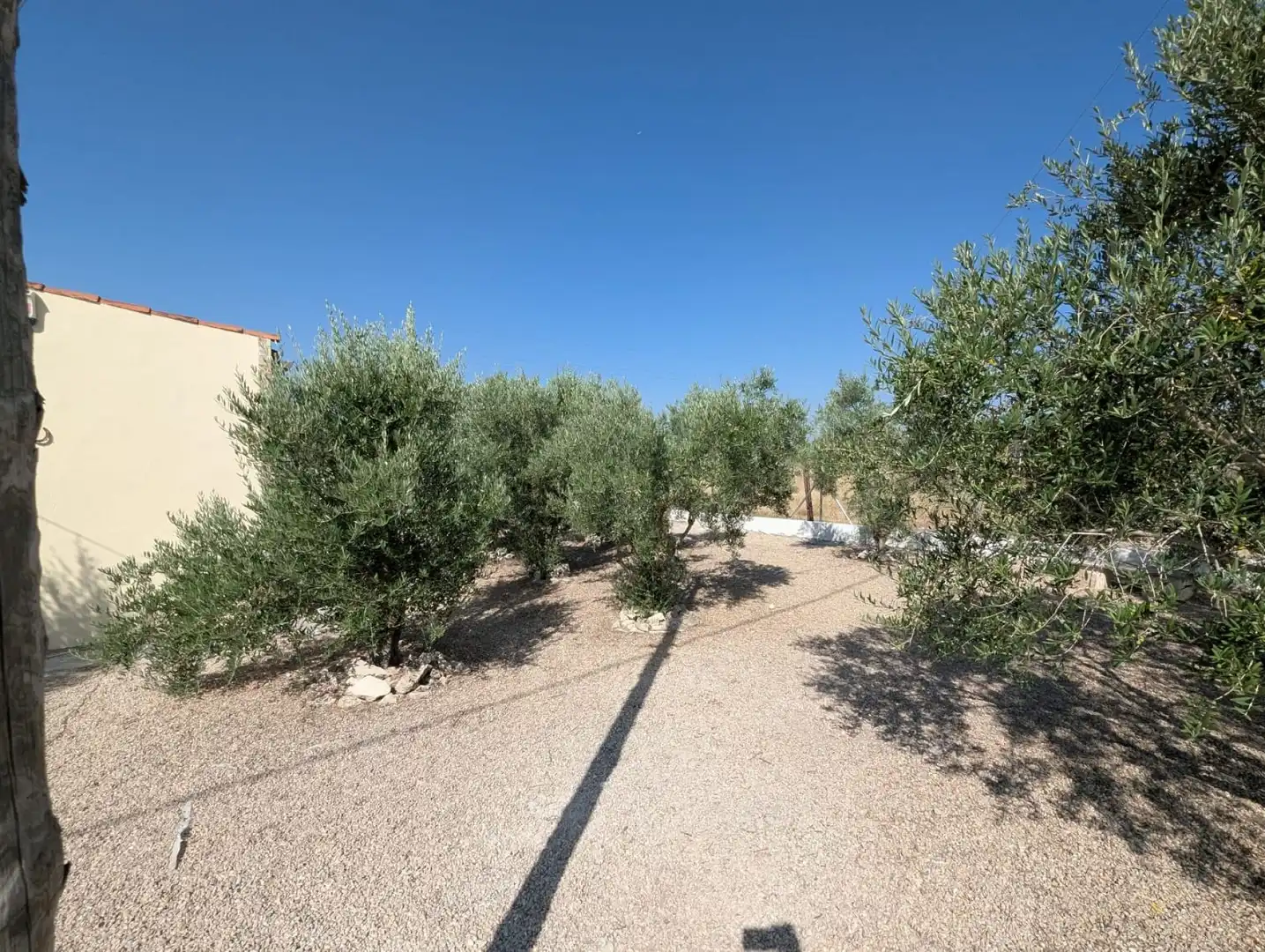 Casa rústica en venta en Sax, imagen 30
