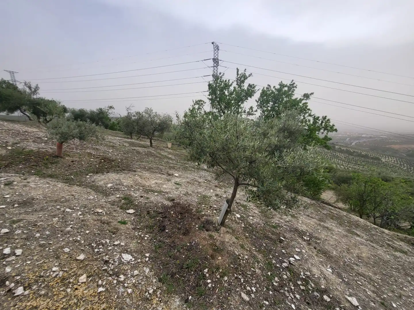 Rustikales Grundstück zum Verkauf in Güevéjar, imagen 14