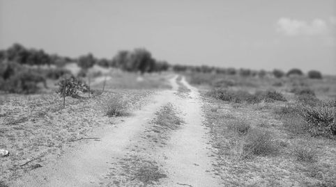 Immagine 1 dell'annuncio