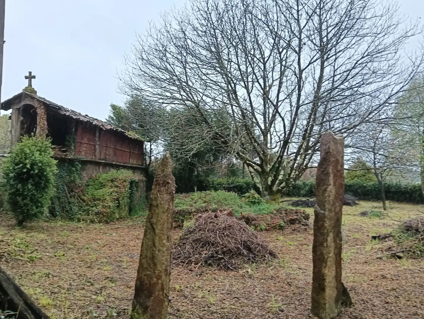 Adossat amb jardí en venda a Curtis, imagen 20