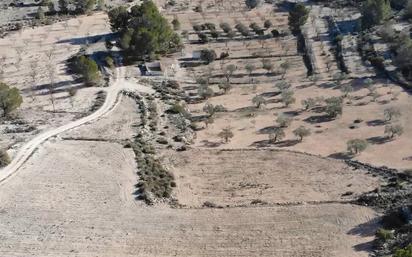 Finca rústica en venda en Monóvar  / Monòver