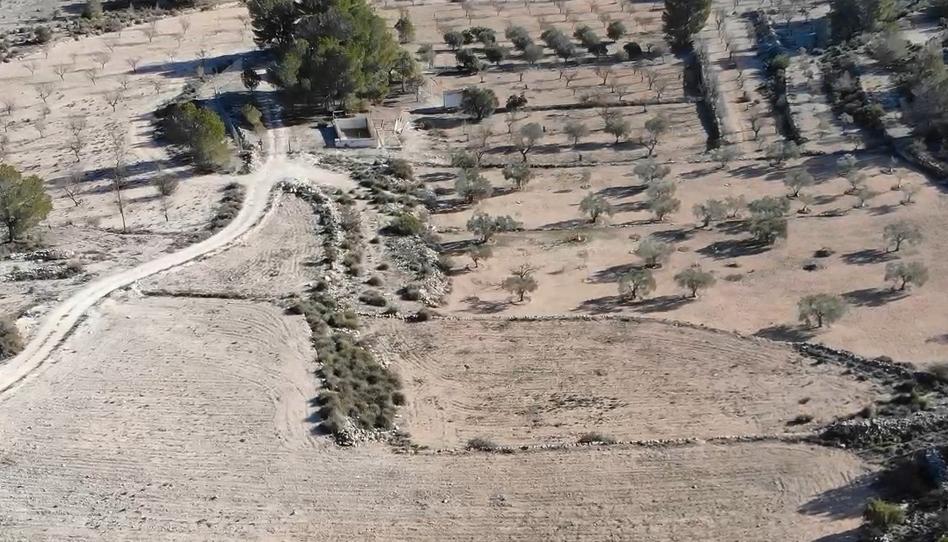 Foto 1 de Finca rústica en venda a Cv-83, 3c, Monóvar  / Monòver, Alicante