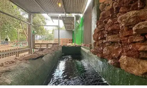 Piscina de Casa o chalet en venta en Cartagena con Jardín privado y Piscina