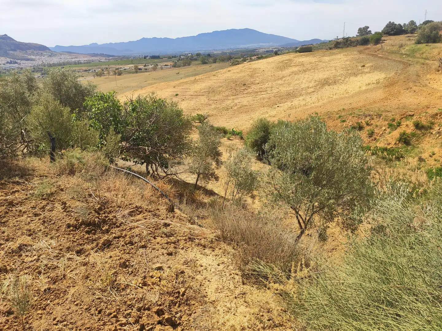 Terreni e lotti in vendita a poligono 3- parcela 102 0, imagen 36