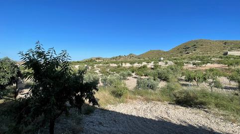 Foto 3 de Finca rústica en venda a Los Puertos, Murcia
