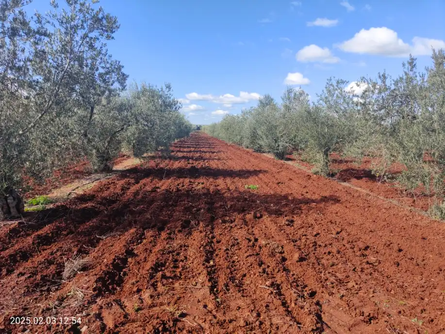 Grundstücke zum Verkauf in Almendralejo