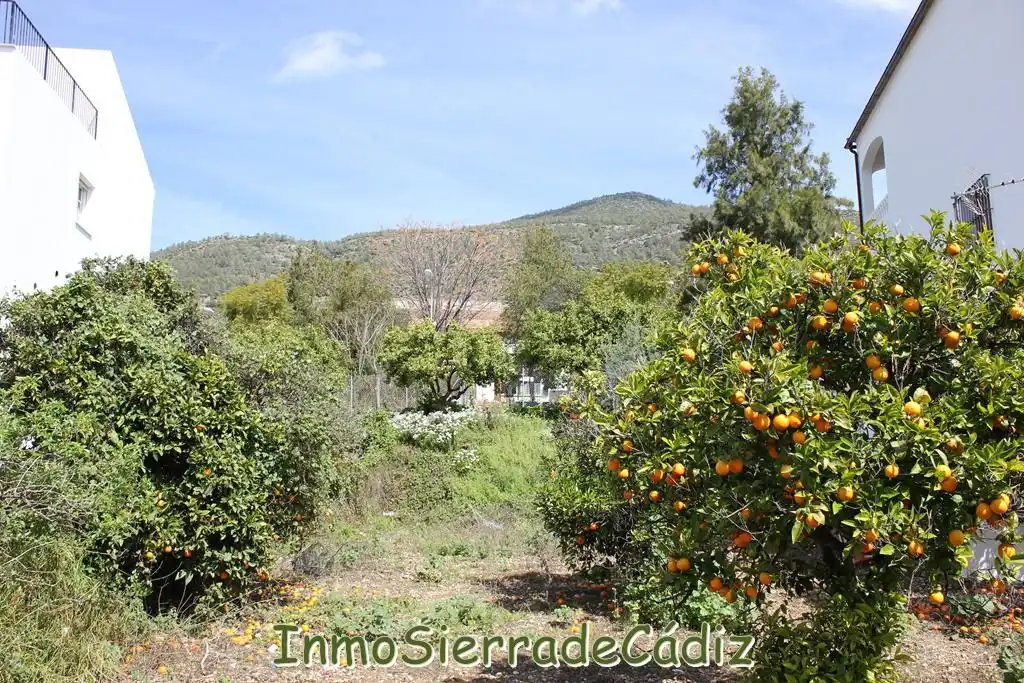 Residencial en venda a Andalucia, Torre Alháquime
