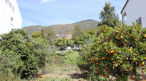 Solar en venta en Algodonales., immagine 3