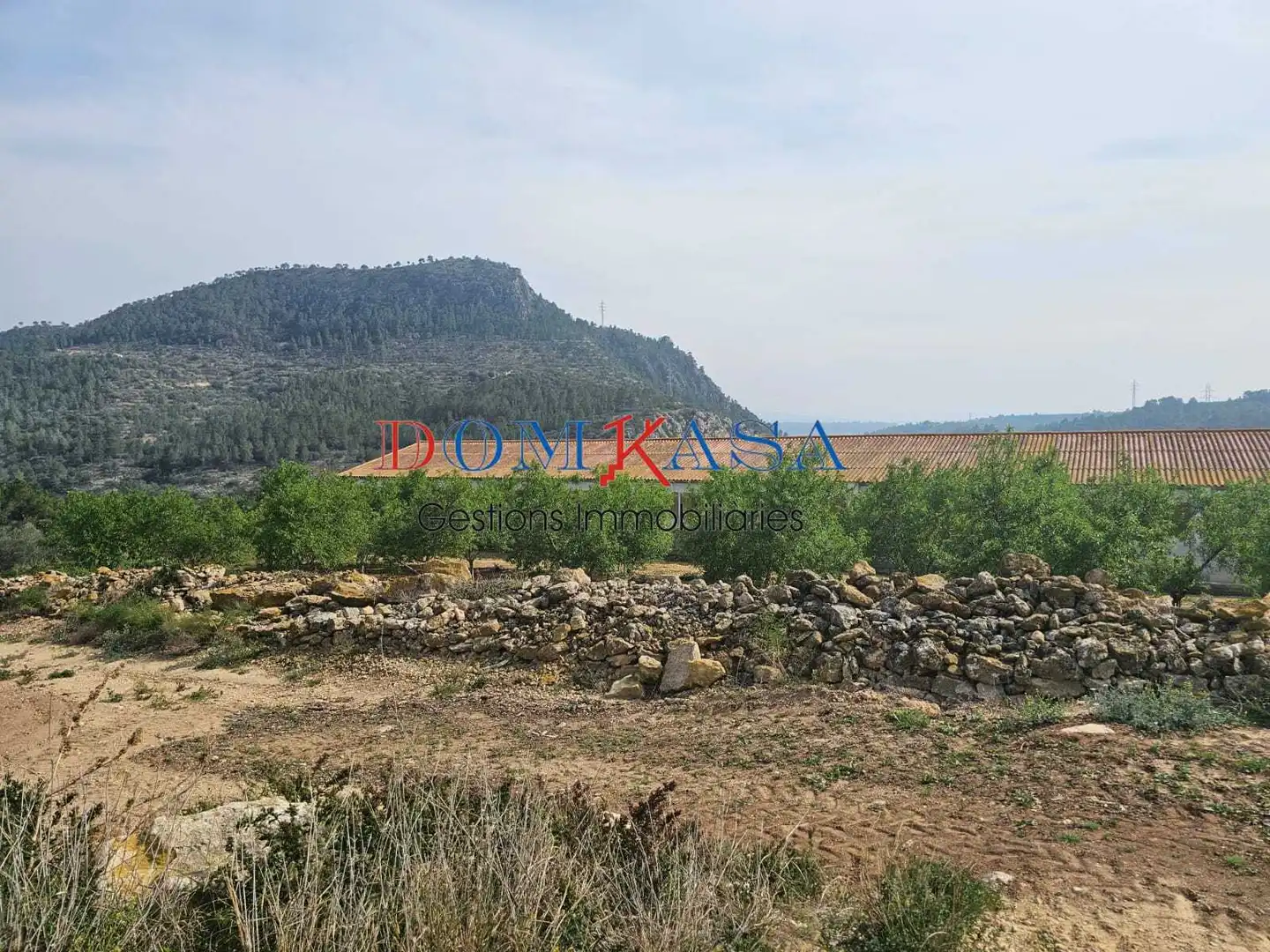 Industrial buildings for sale in Xerta