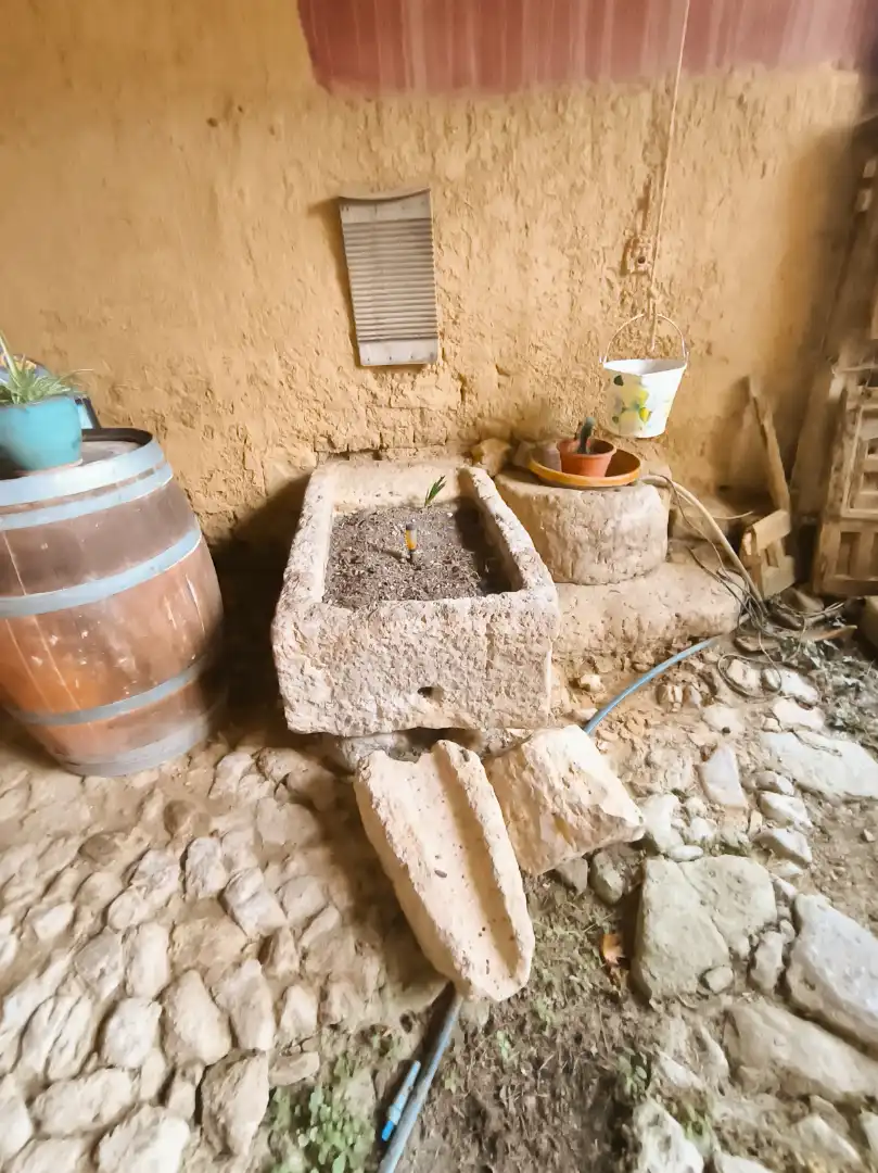 Jardín de Finca rústica en venta en Amusco, Palencia