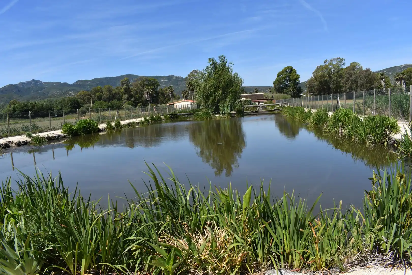 Finca rústica en venda a Eucaliptus - Poble Nou del Delta