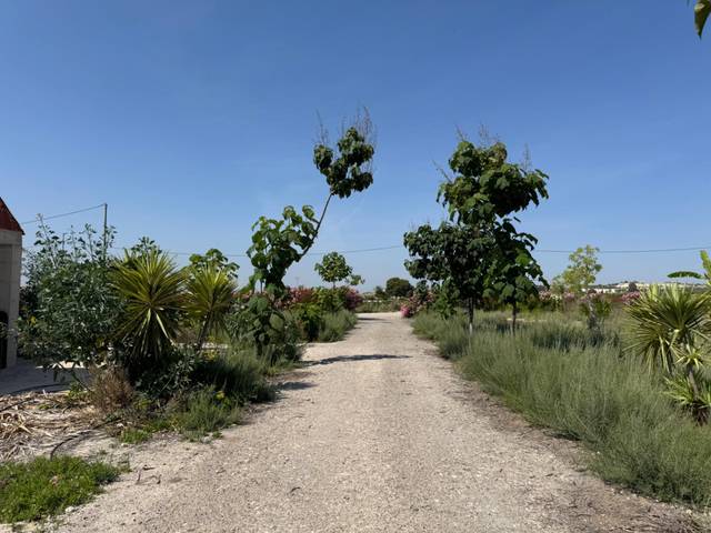 Finca rústica en Venta en Fortuna