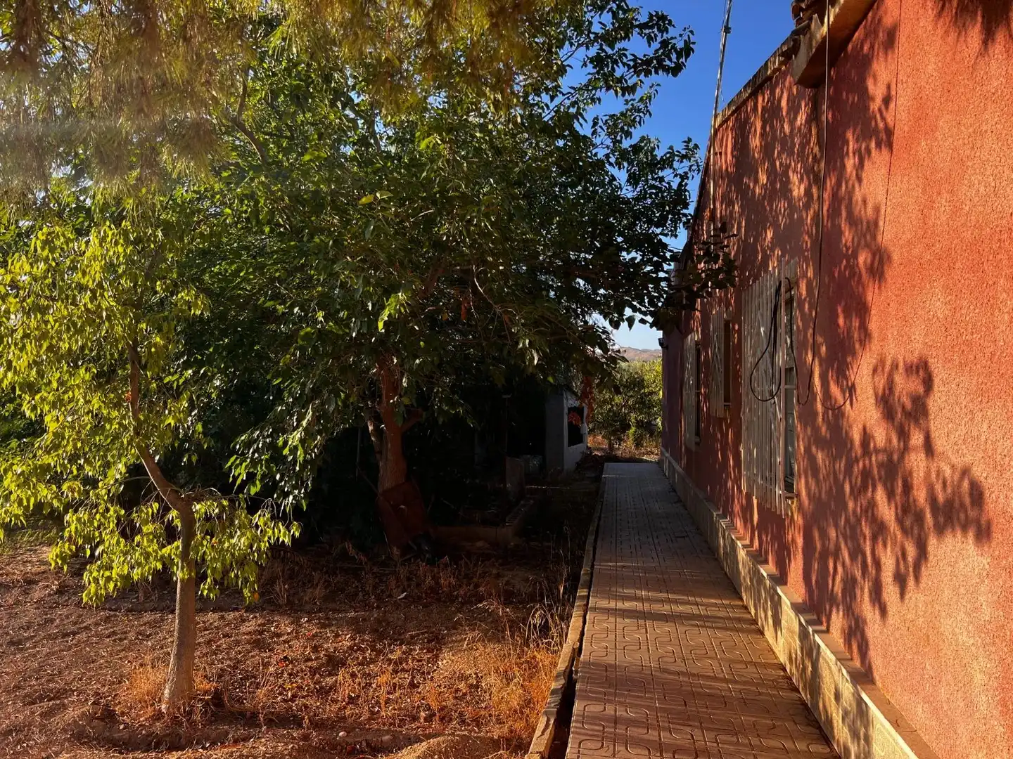 Vista exterior de Casa o xalet en venda en Elche / Elx amb Jardí privat, Terrassa i Traster