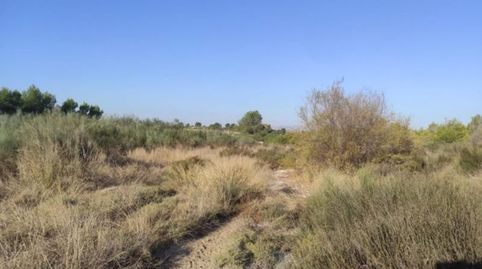 Terreno en Cieza Murcia