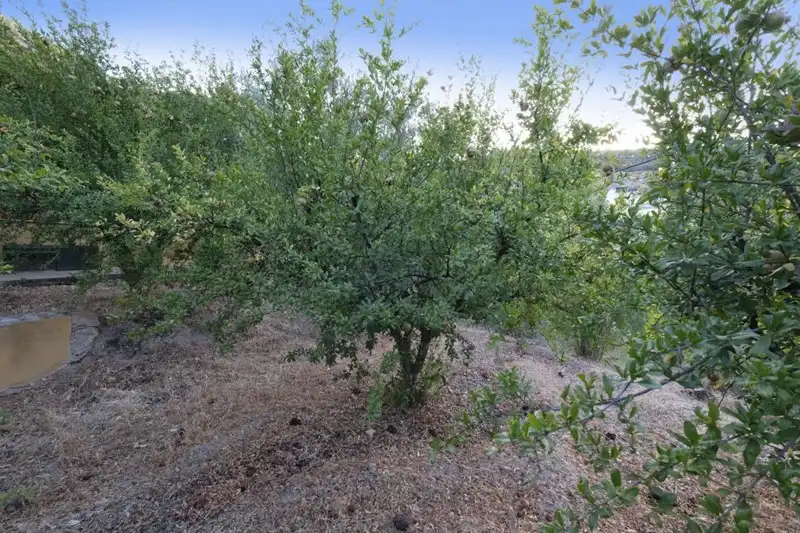 Casa rústica amb jardí en venda a Villamena, imagen 29