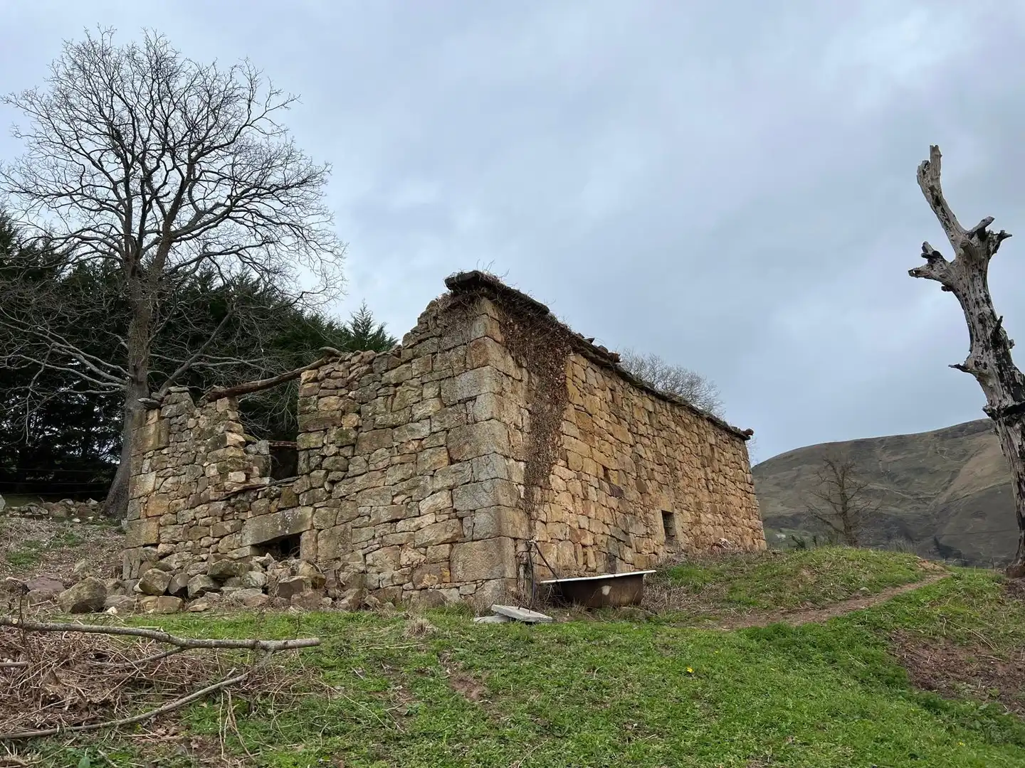 Vista exterior de Casa o chalet en venta en Saro con Jardín privado