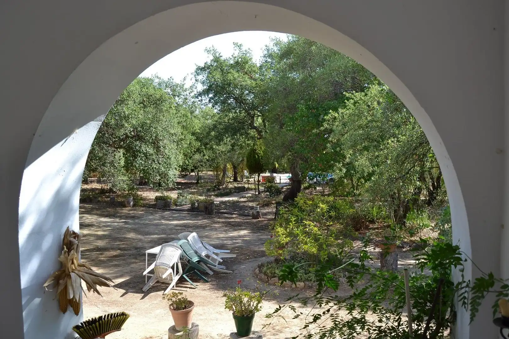 Casa rústica amb piscina en venda a Arcos de la Frontera, imagen 30