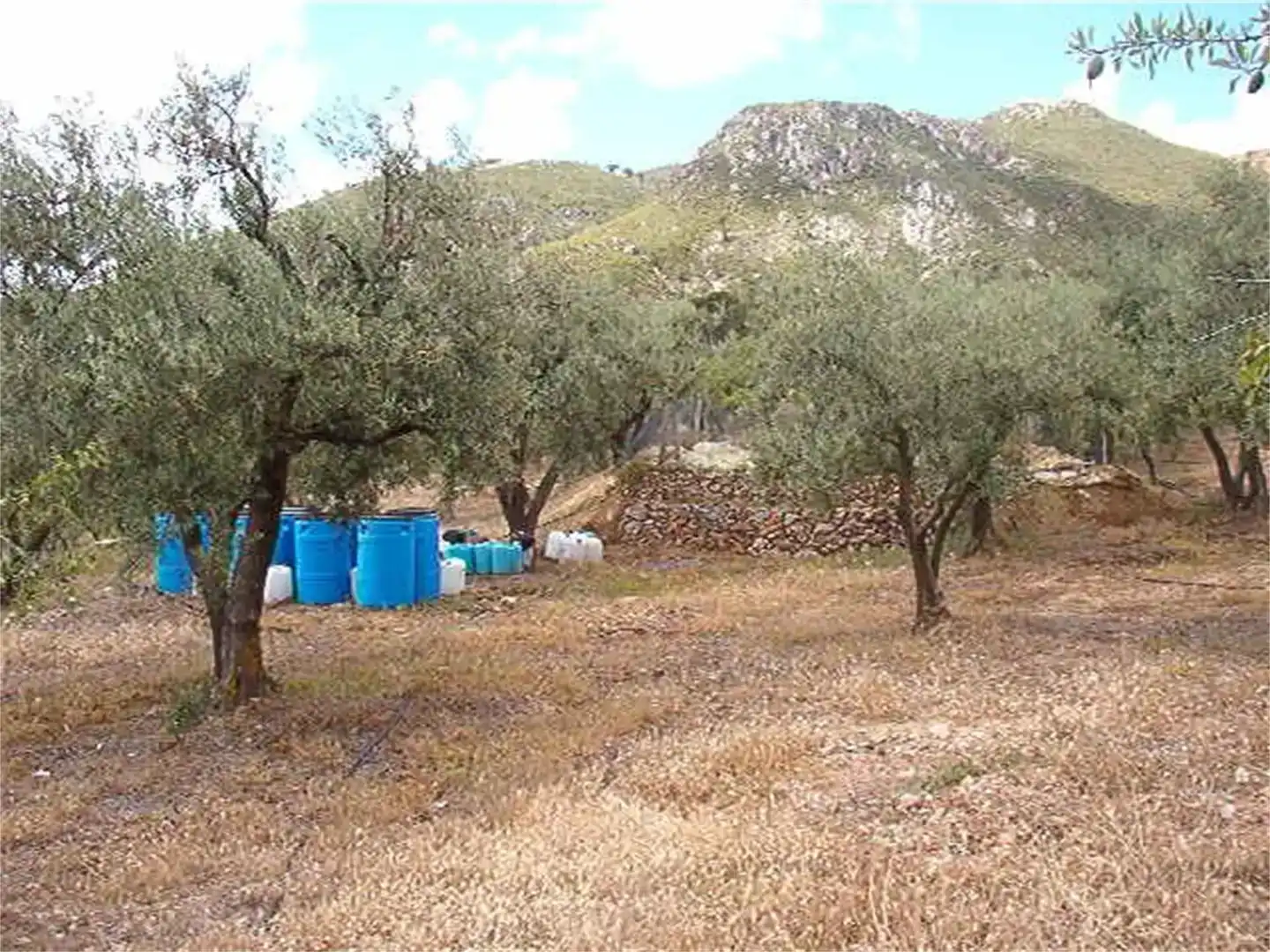 Terreno en venta en Los Guájares