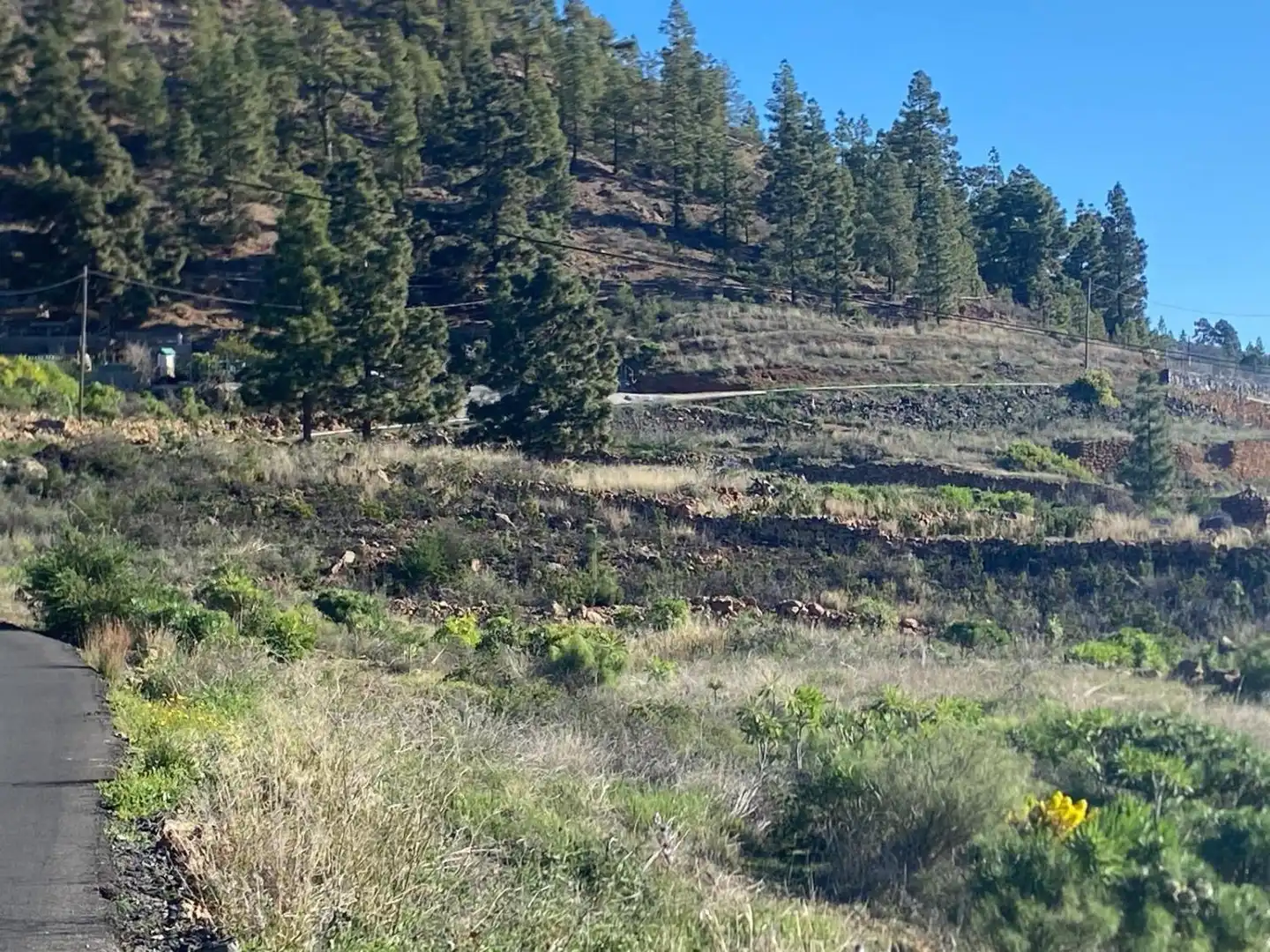 Land for sale in Granadilla de Abona