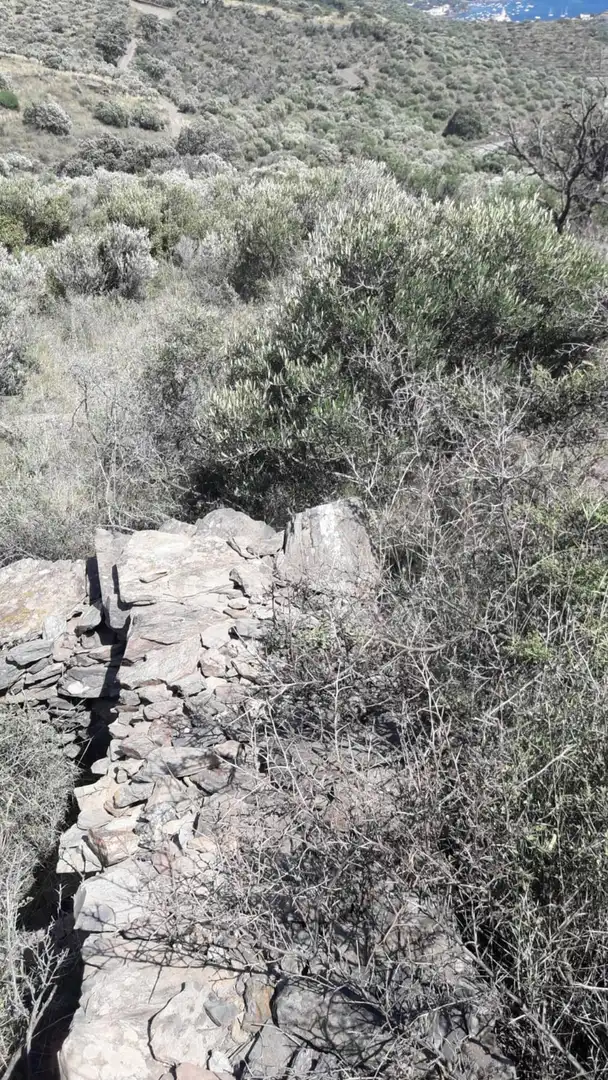 Lands and plots for sale in Ses Closes, imagen 12