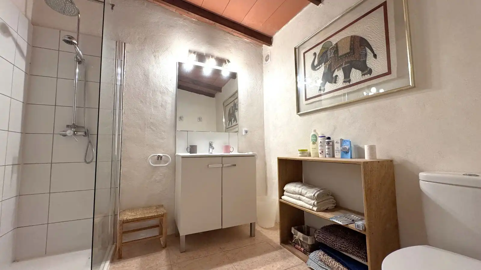Baño de Finca rústica en venta en Santa María del Camí con Calefacción, Jardín privado y Terraza