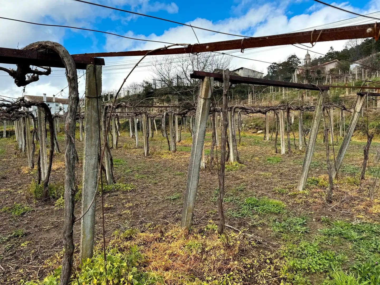 Rural land for sale in Arbo, imagen 3