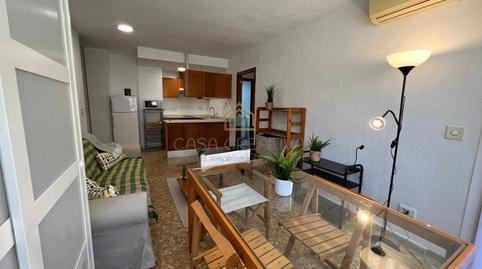 Foto 5 de Casa o xalet de lloguer a Calle Xabia, Ciutat Universitària,  Valencia Capital