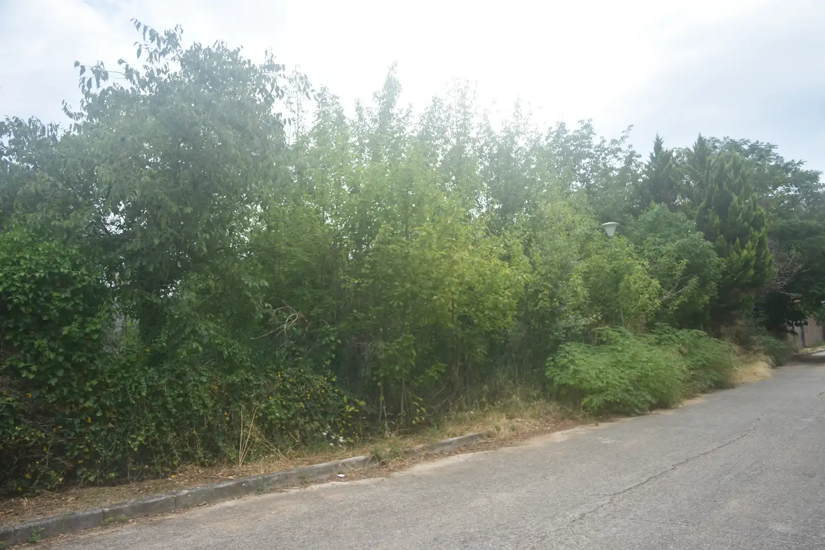 Residential for sale in Arbúcies