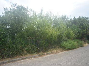 Terreny residencial en venda a Arbúcies