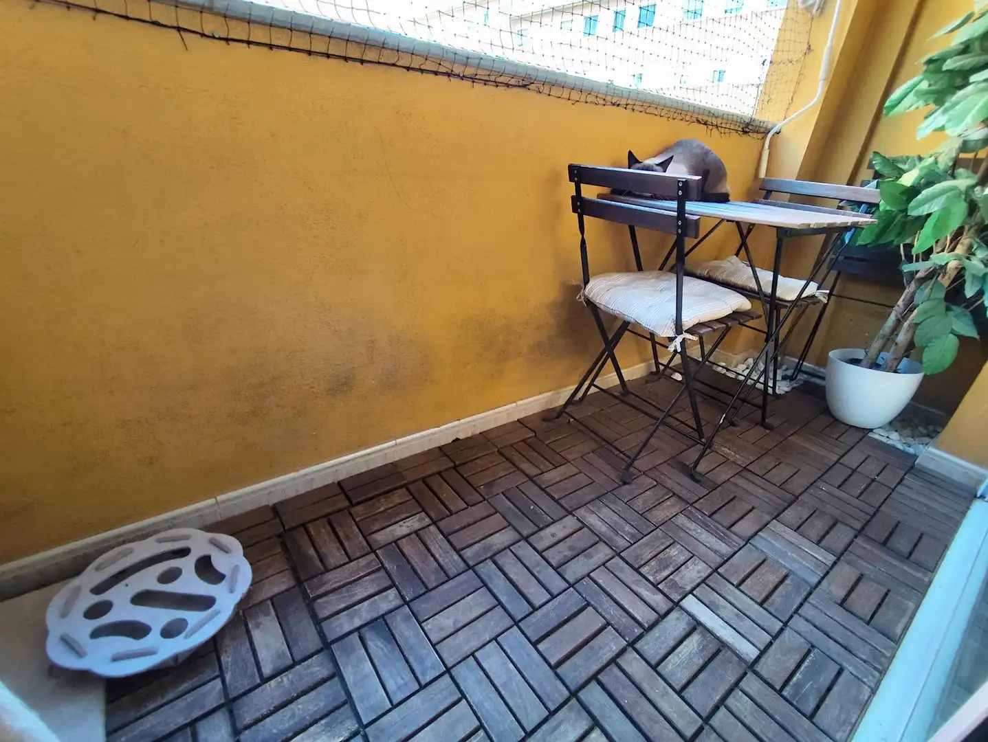 Terraza de Piso en venta en Concòrdia - Can Rull