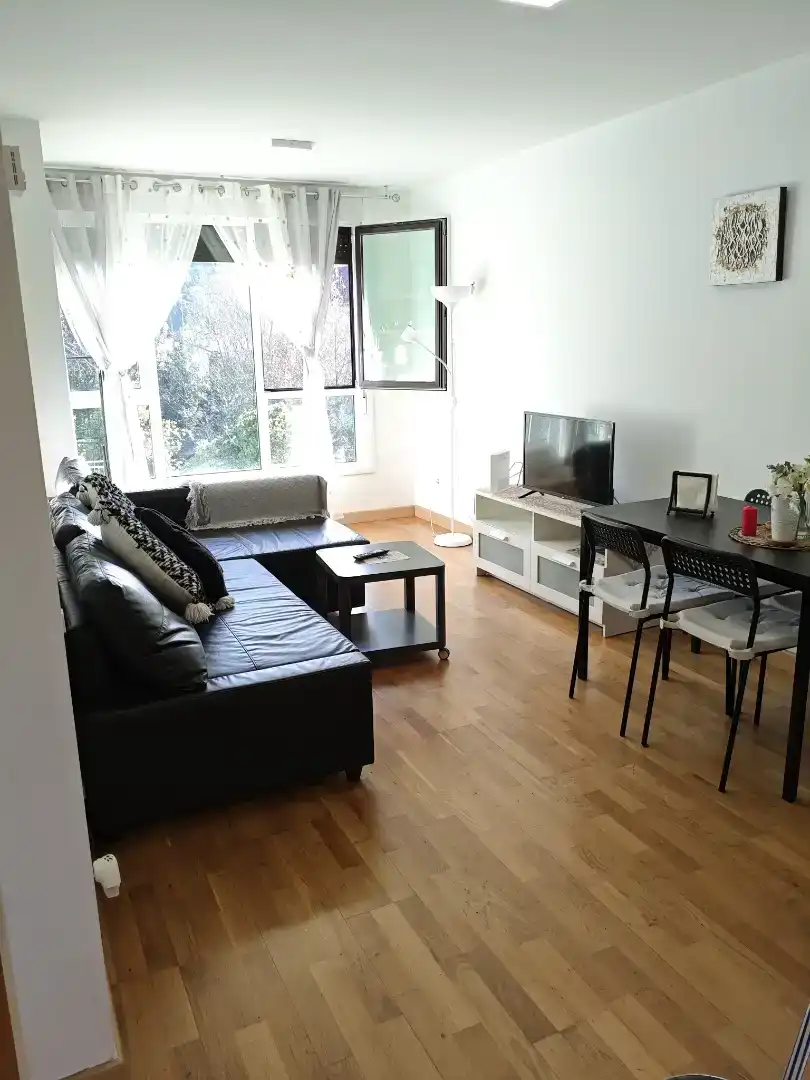 Living room of Flat for rent in Medio Cudeyo