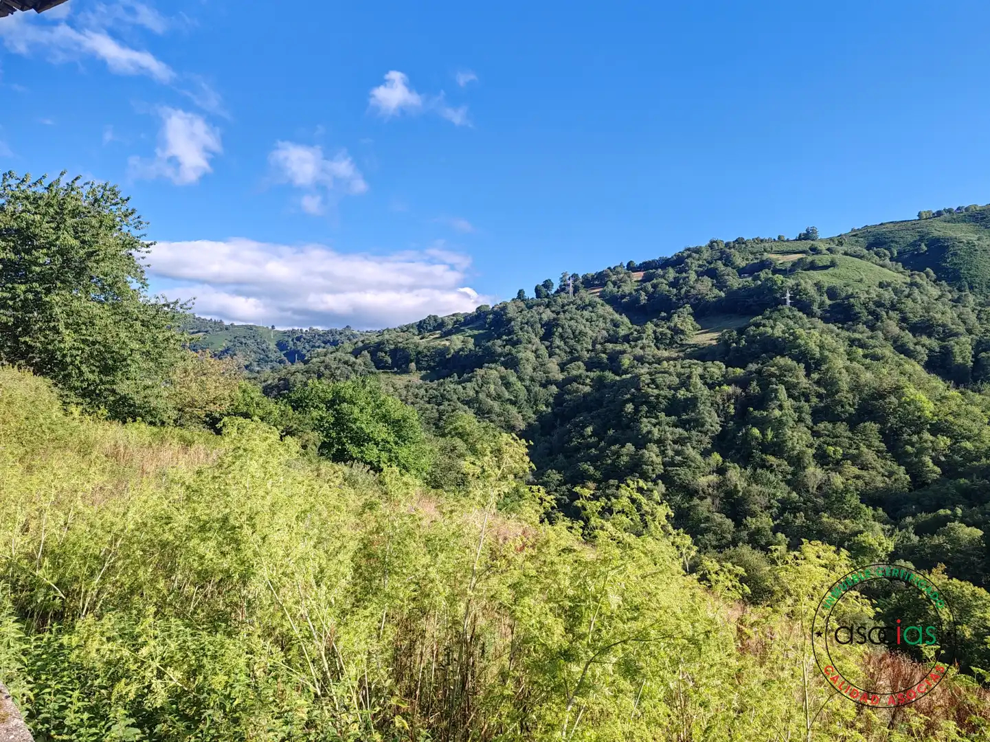 Vista exterior de Casa o xalet en venda en Bimenes amb Jardí privat