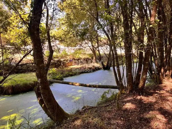 Casa con giardino in vendita a Rúa Pontevedra, imagen 22