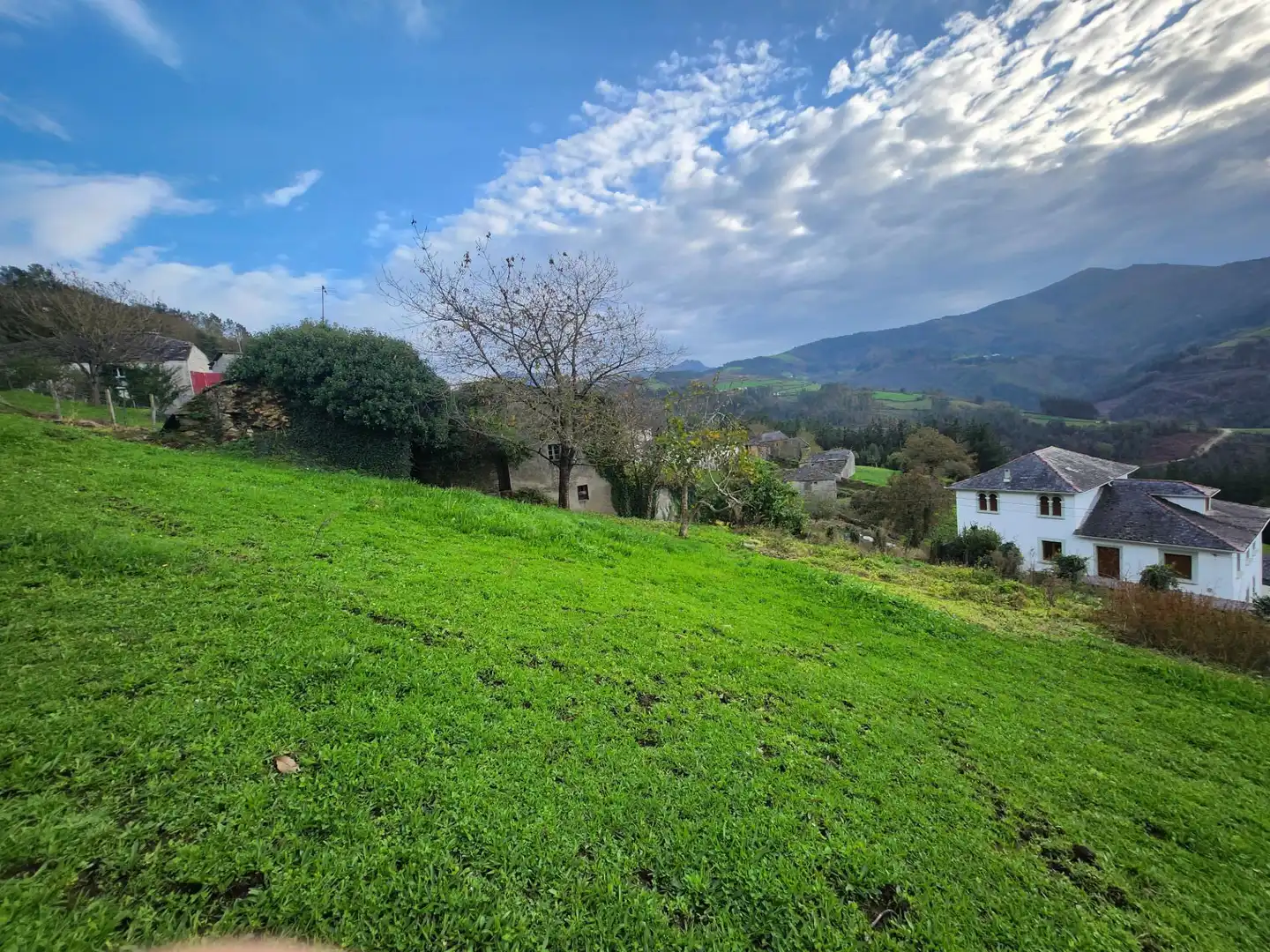 Maison avec jardin à vendre à Lugar LOREDO 5, imagen 28