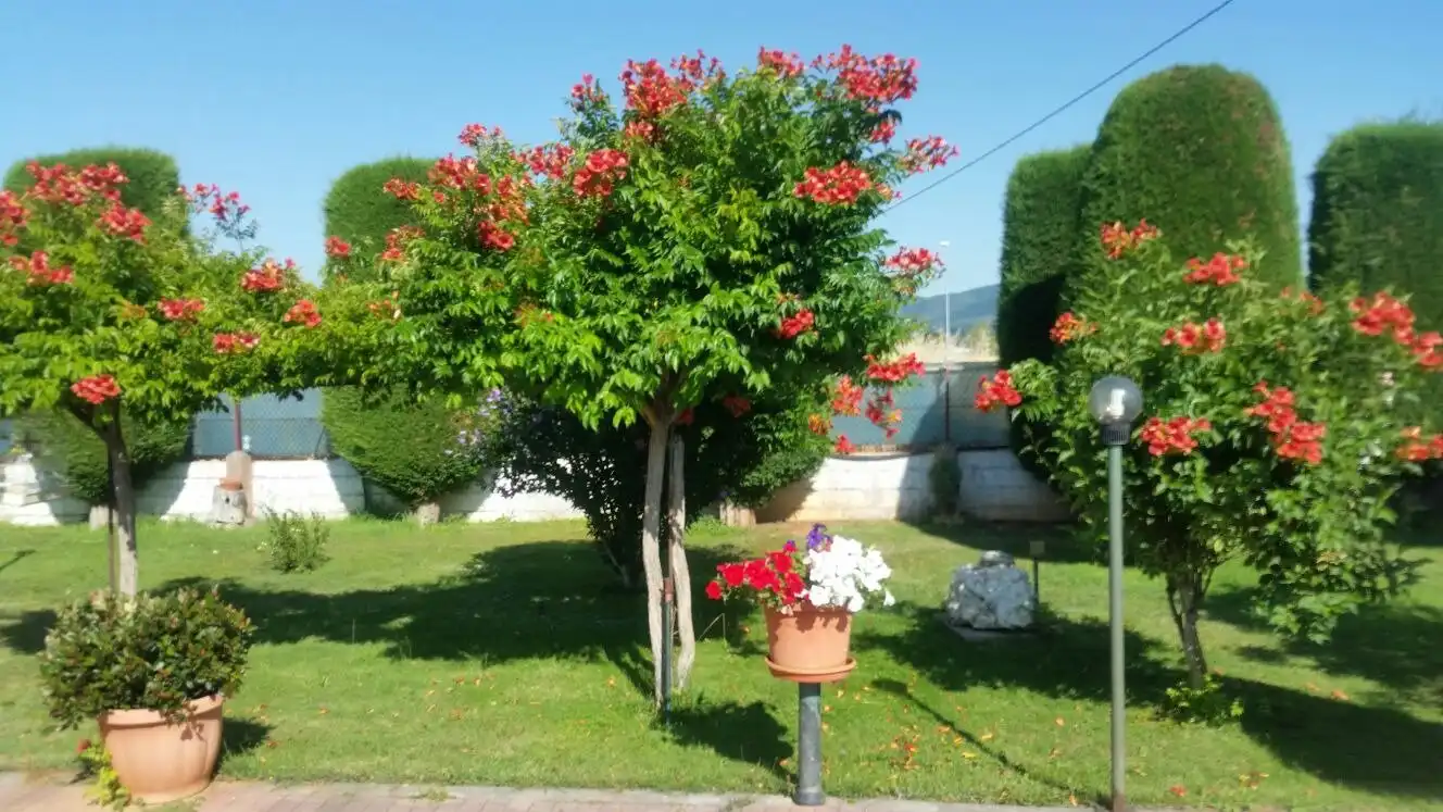 Jardín de Finca rústica en venta en Cabañas Raras con Calefacción, Terraza y Piscina