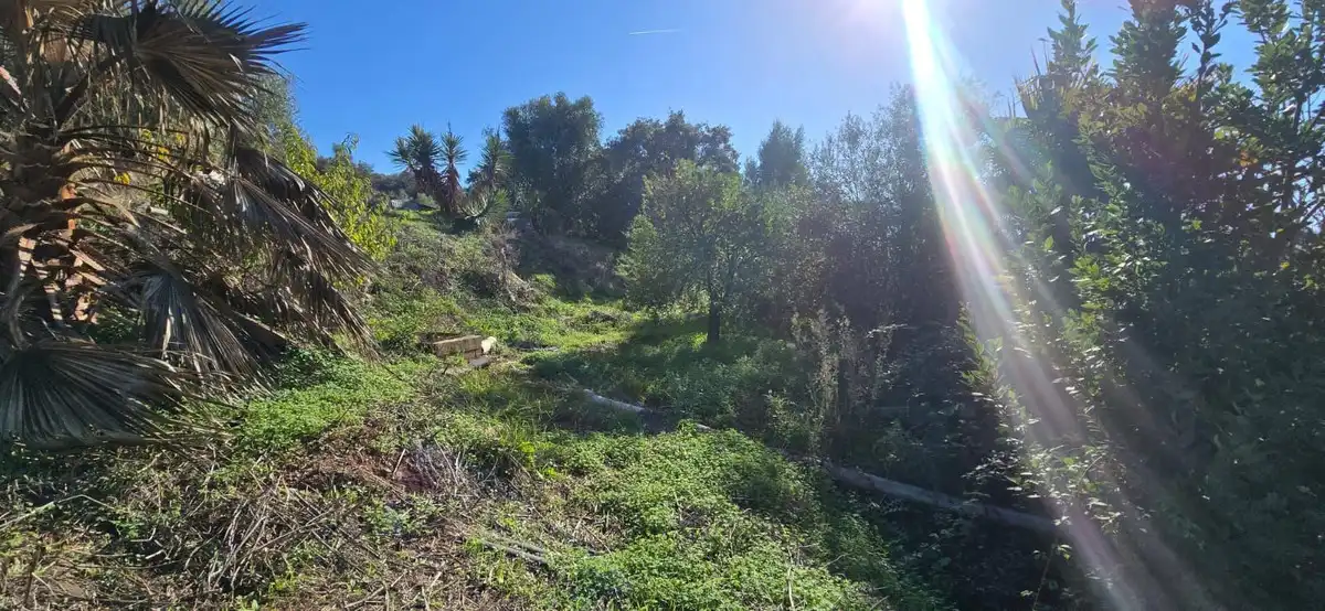 Casa rústica en venta en Estepona Pueblo, imagen 6